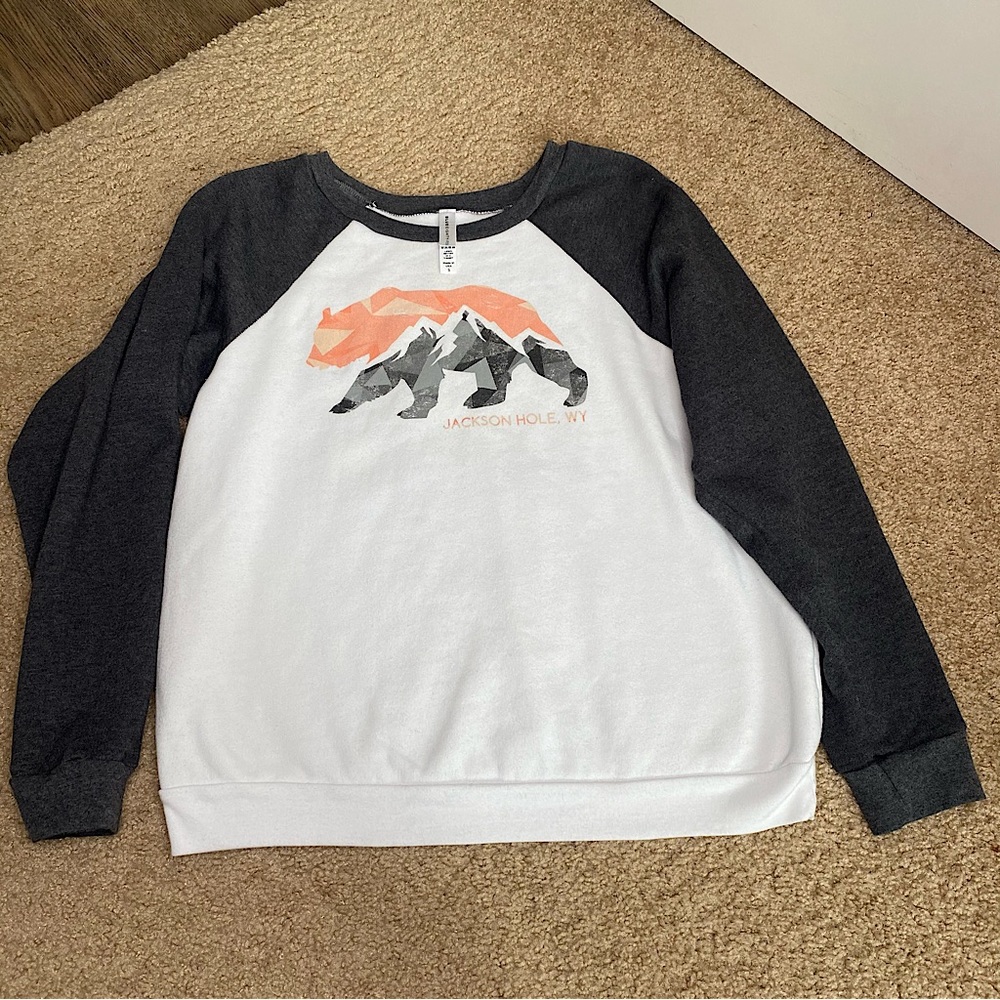 BLUE-EIGHTY FOUR JACKSON HOLE TRAVEL GRAPHIC PULLOVER SIZE SM